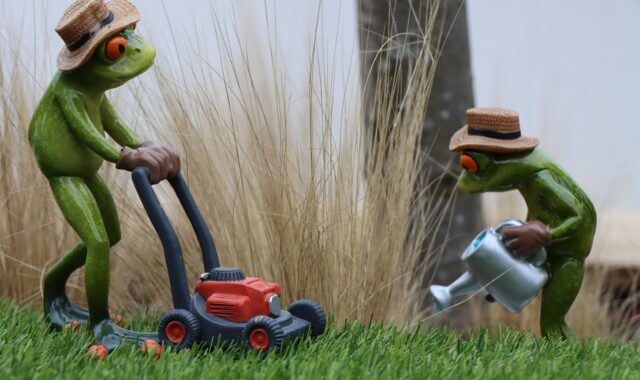 garden professionals, gardener, professionals, garden service, gardening, garden maintenance, workplace, lawn, lawn mower, mower, casting, can, water, nature, lawn mower, lawn mower, lawn mower, lawn mower, lawn mower, mower