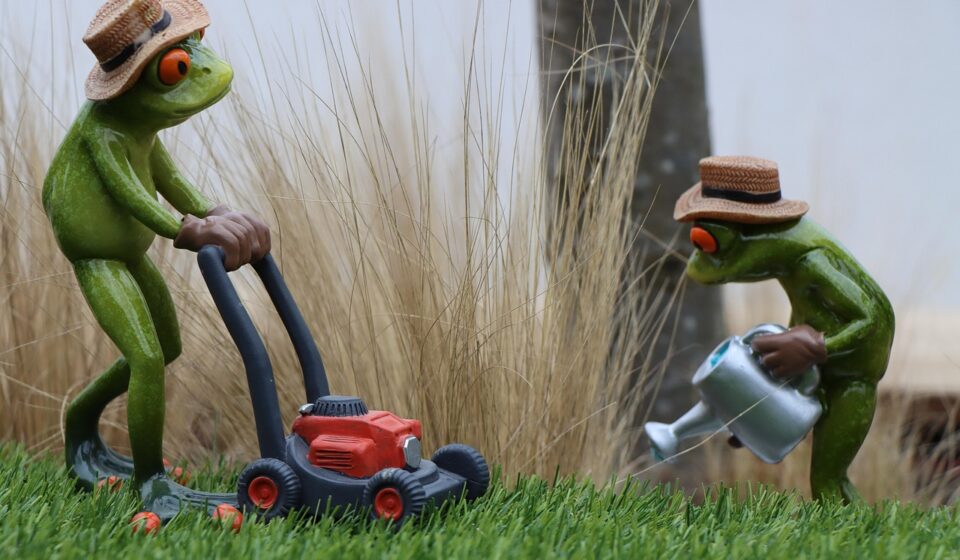 garden professionals, gardener, professionals, garden service, gardening, garden maintenance, workplace, lawn, lawn mower, mower, casting, can, water, nature, lawn mower, lawn mower, lawn mower, lawn mower, lawn mower, mower