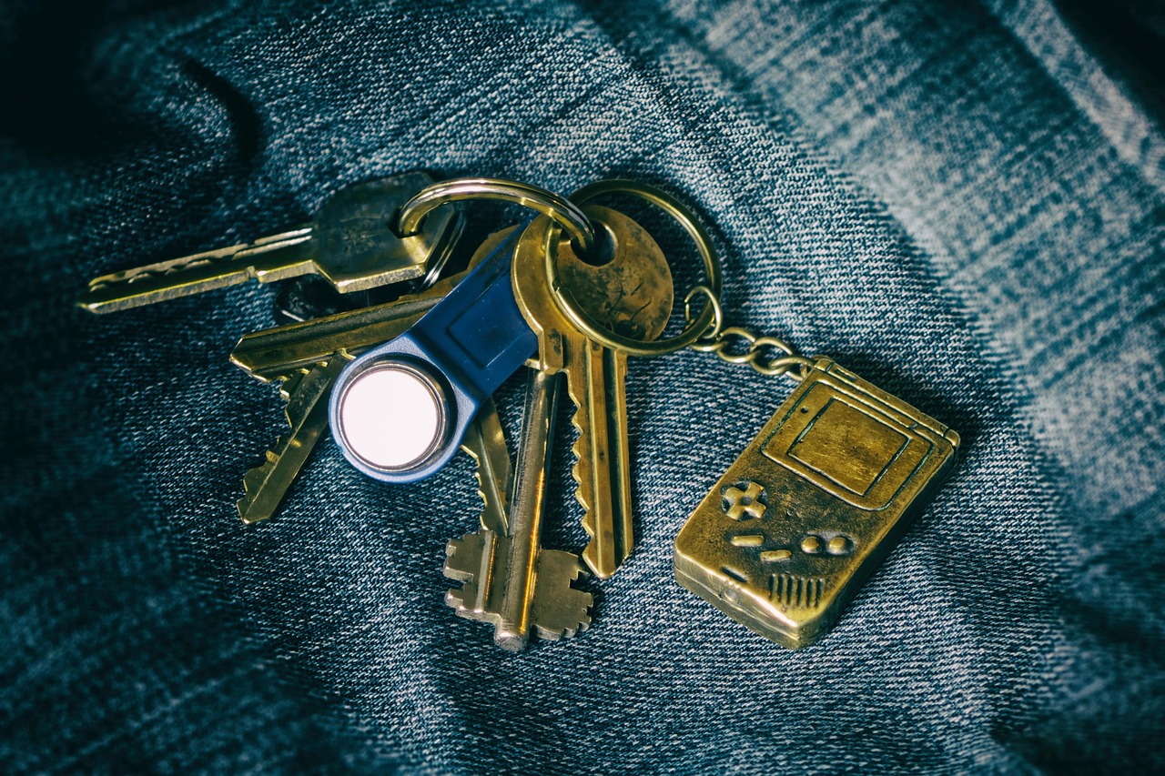 keychain, the keys, bundle, item, house, keychain, keychain, keychain, keychain, keychain