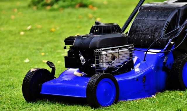 blue lawn mower, lawn mower, lawn mowing, landscaping, blue, summer, nature, lawn mower, lawn mower, lawn mower, lawn mower, lawn mower, lawn mowing, lawn mowing