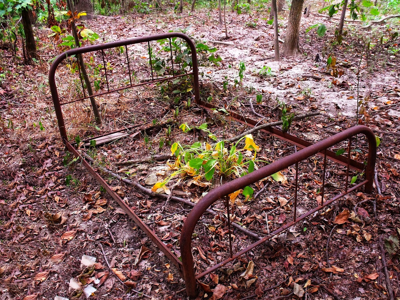 cot, iron, scrap, old, discarded, junk, rusted, cot, cot, cot, cot, cot, junk