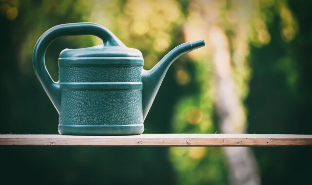 watering can, gardening, flower, beautiful flowers, flower wallpaper, nature, flower background, summer, spring, gardener, garden, irrigation, plant, garden maintenance