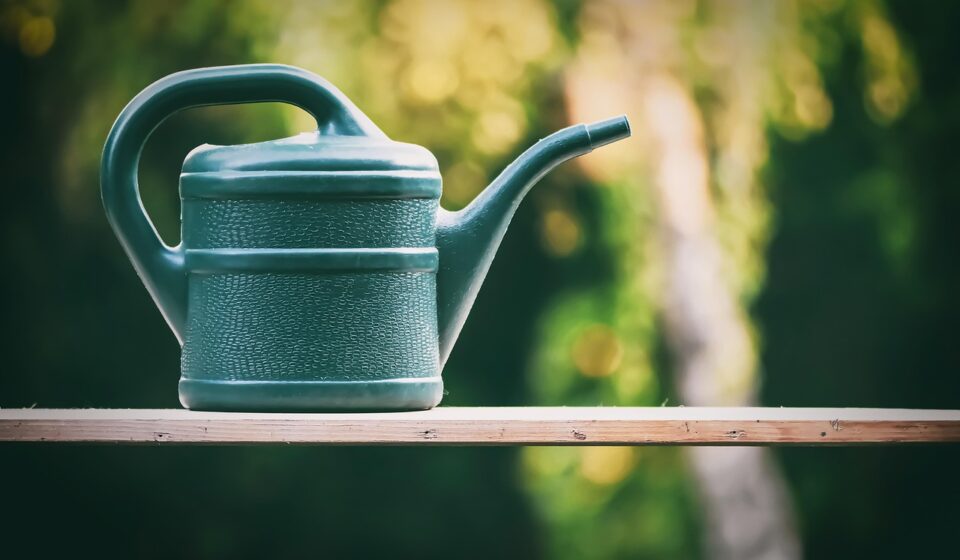 watering can, gardening, flower, beautiful flowers, flower wallpaper, nature, flower background, summer, spring, gardener, garden, irrigation, plant, garden maintenance