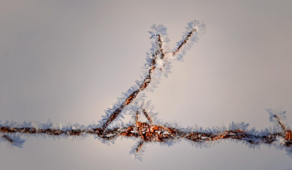wire, metal, tip, pointy, winter, snow, is, nature, prickly