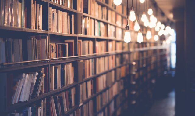 books, library, room, school, study, knowledge, education, shelf, light, bulb, books, books, books, library, library, library, library, library, school, school, school, study, study, education, education