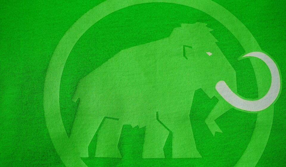 t-shirt, green, mammoth, logo, brand, material, elephant, close up, tusk, imprinted, printed, pressure