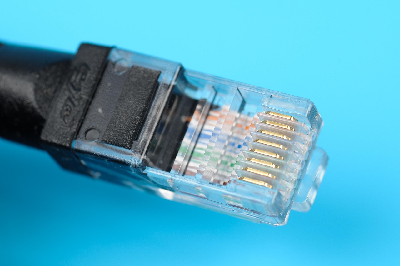 cable, internet, ethernet, lan, network, plug, connection, technology, computer, server, switch, data, digital, line, hardware, tech, online, electrician, wire, broadband, equipment, blue tech, blue server, ethernet, ethernet, server, tech, electrician, electrician, electrician, electrician, broadband, broadband, broadband, broadband, broadband