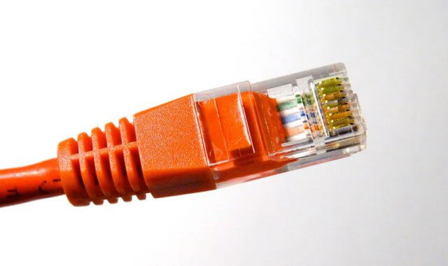 lan plug, connection, lan, www, internet, intranet, data cable, data transfer, network, network cable, lan, lan, lan, intranet, intranet, intranet, intranet, intranet