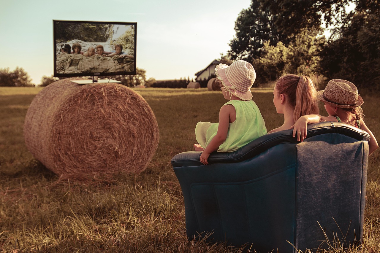 extended family, family, siblings, children, youthful, outdoors, chair, hay, watch tv, tv, nature, field, straw, summer, sun, warm, cap, straw hat, funny, crazy, extended family, watch tv, watch tv, watch tv, watch tv, watch tv, tv, crazy