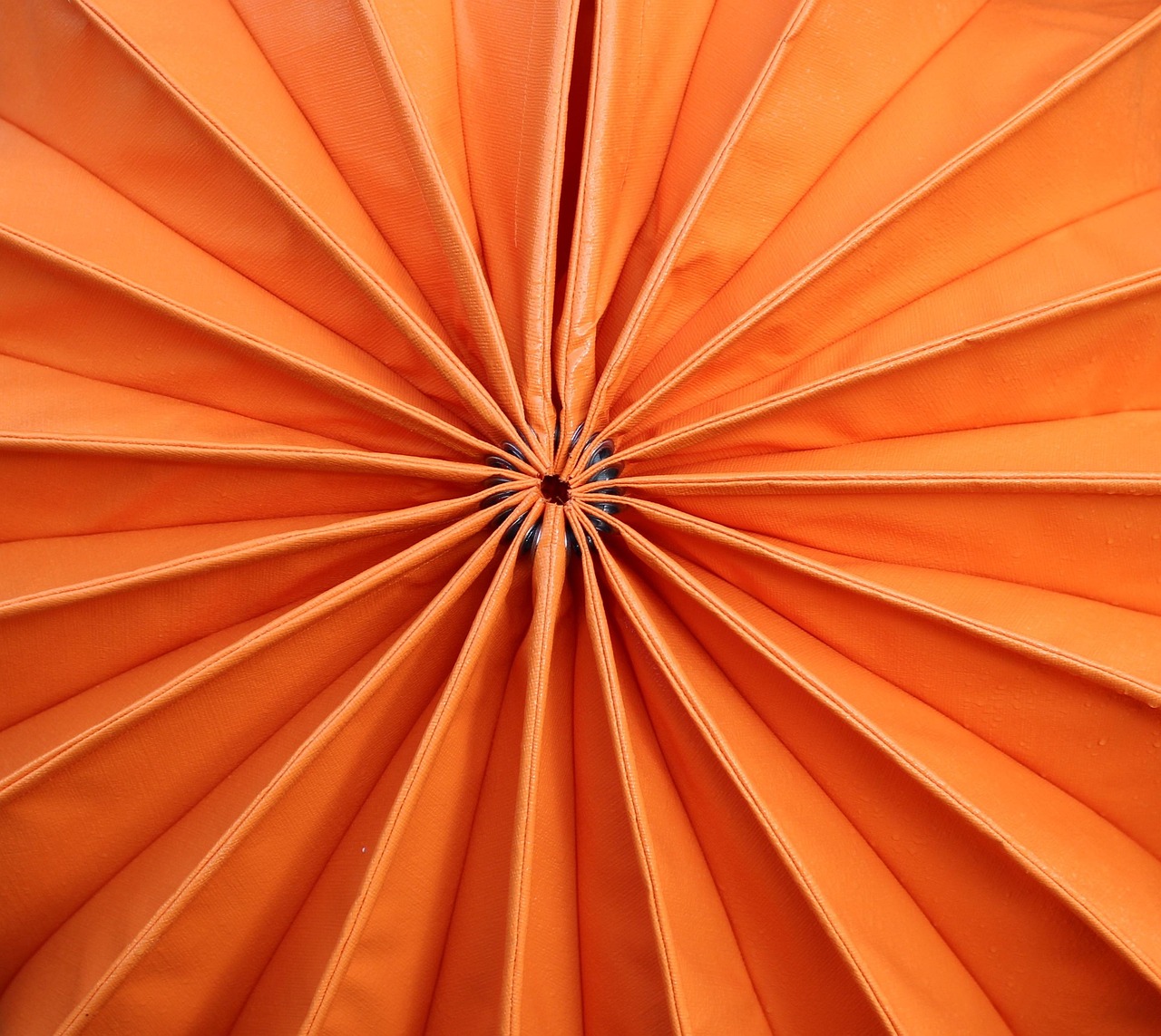 orange, lampion, closure, picture puzzle, weatherproof, robust