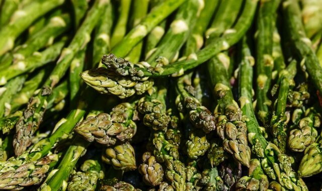 asparagus, vegetables, food, green asparagus, asparagus time, delicious, healthy, organic, asparagus, asparagus, asparagus, asparagus, asparagus