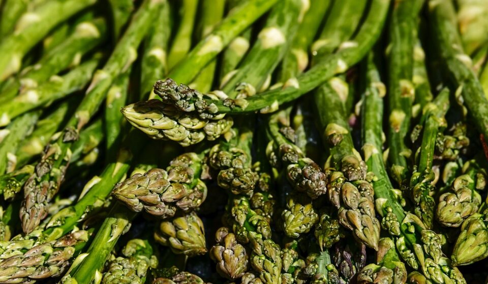 asparagus, vegetables, food, green asparagus, asparagus time, delicious, healthy, organic, asparagus, asparagus, asparagus, asparagus, asparagus