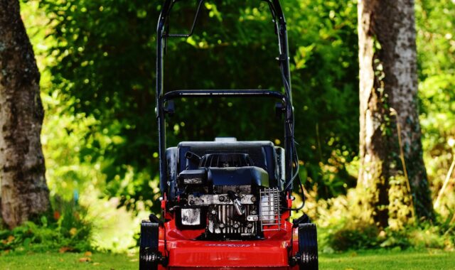 lawn mower, gardening, mow, cut grass, grassy area, garden, cut the lawn, technology, nature, to cut, lawn, green, basket, meadow