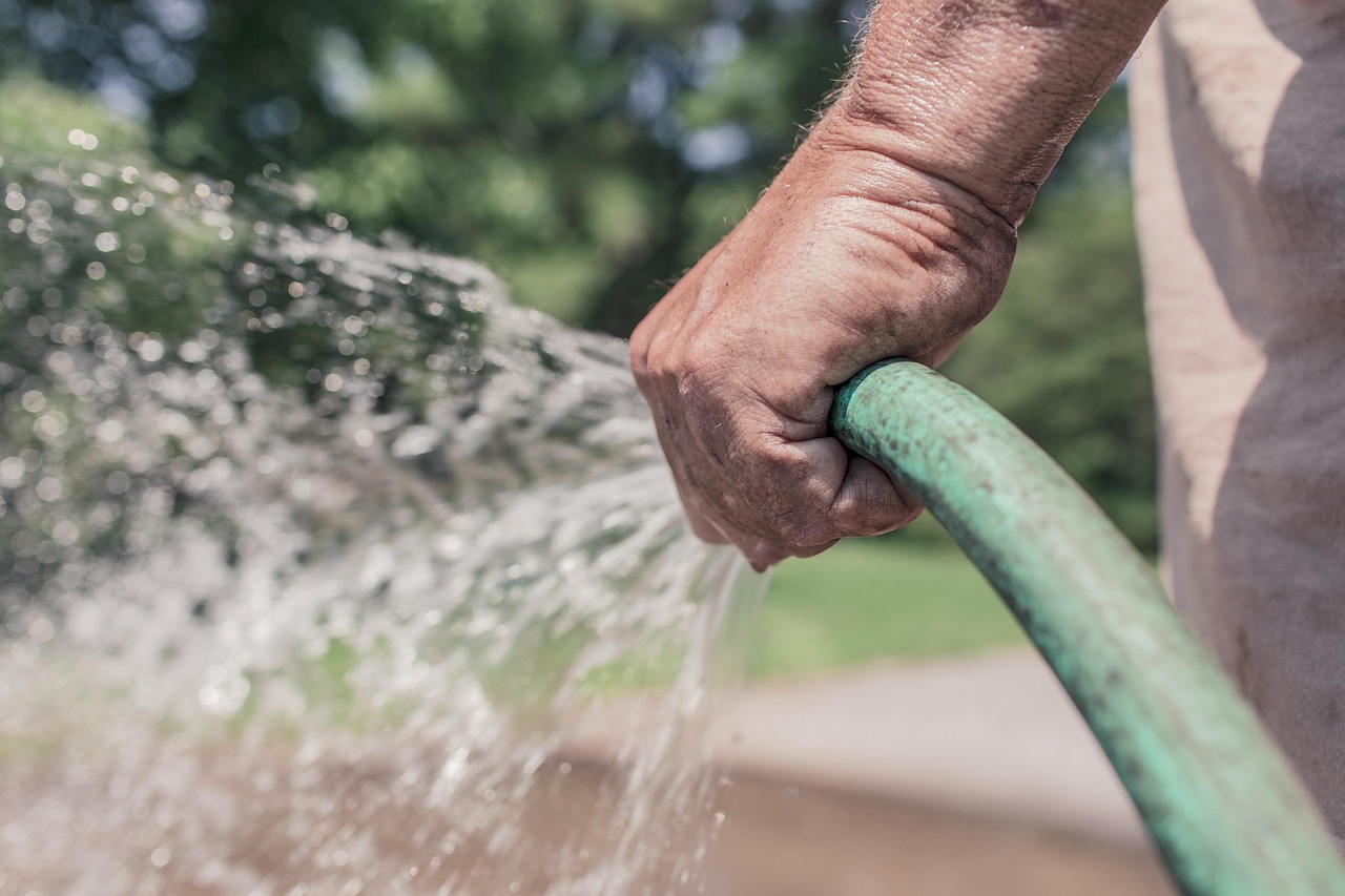 garden hose, hose, watering, gardening, garden, summer, water, sprinkle, hand, holding, man, people, work, leisure, person, nature, lifestyle, male, gardener, spray, hands